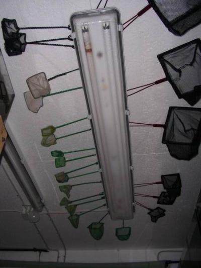 Kescher Decke