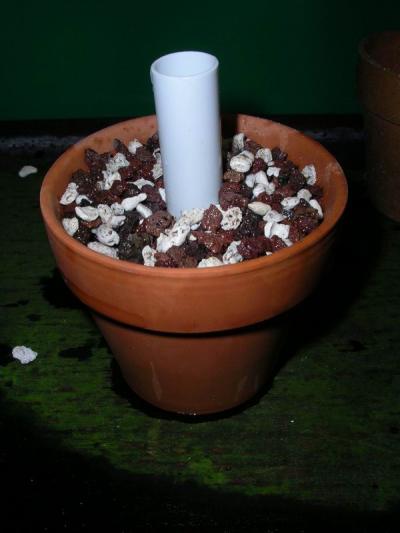 Blumentopffilter 2